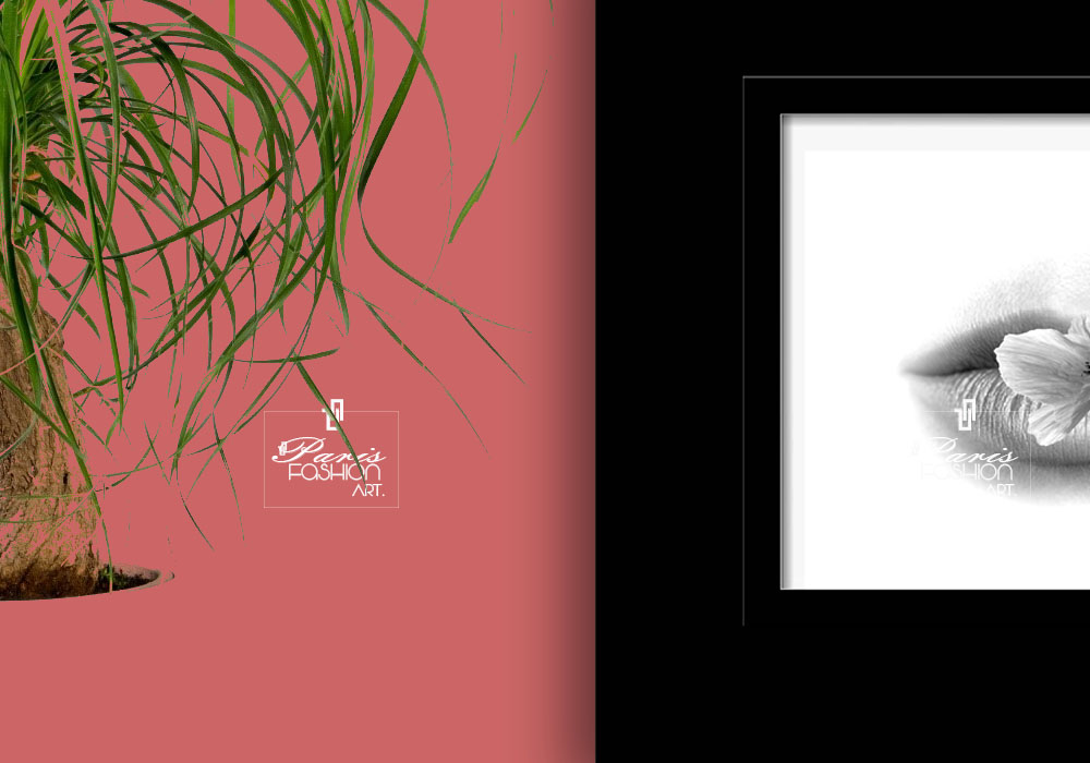 Collection exclusive Paris Fashion Art.com
